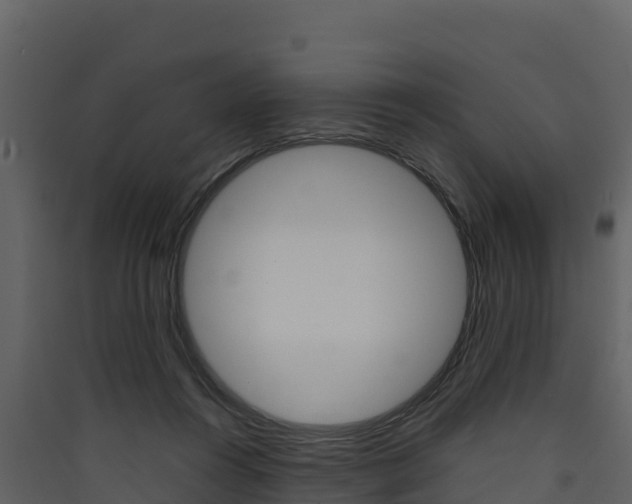 X0000090420360200707130951