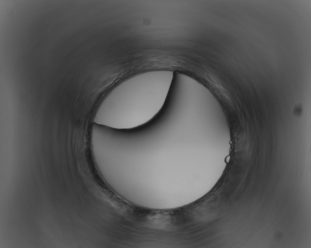 X0000090420362200707130952