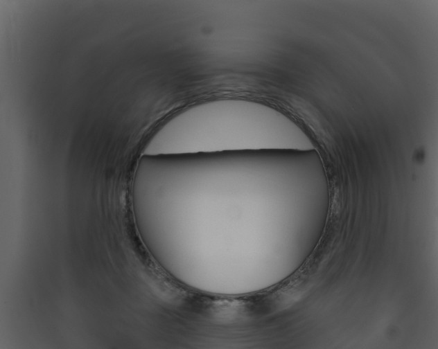 X0000090420363200707130952