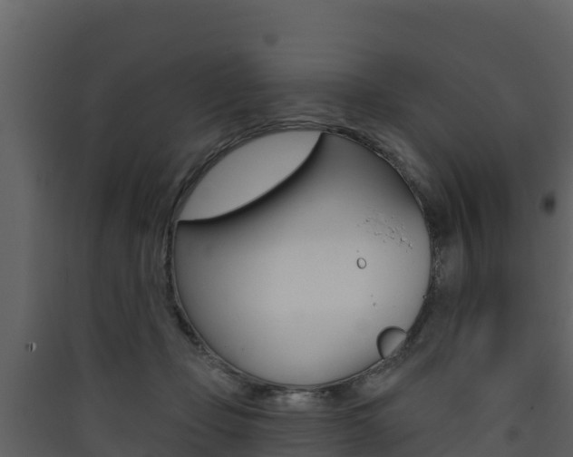 X0000090420365200707130952