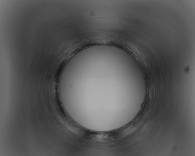 X0000090420366200707130952