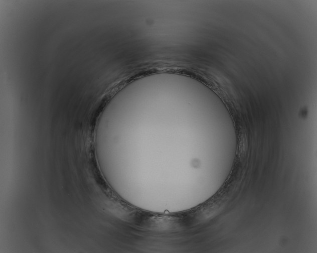 X0000090420367200707130952