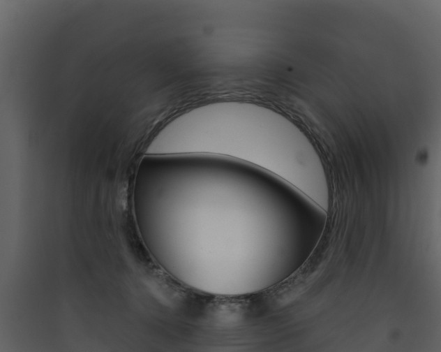 X0000090420368200707130952