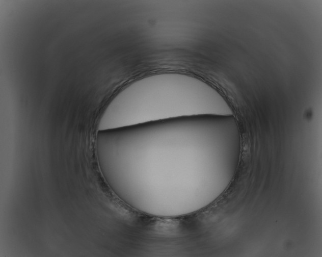 X0000090420369200707130952