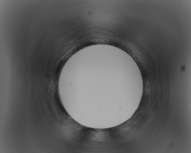 X0000090420370200707130952