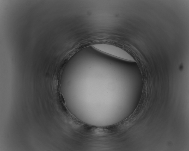 X0000090420372200707130952