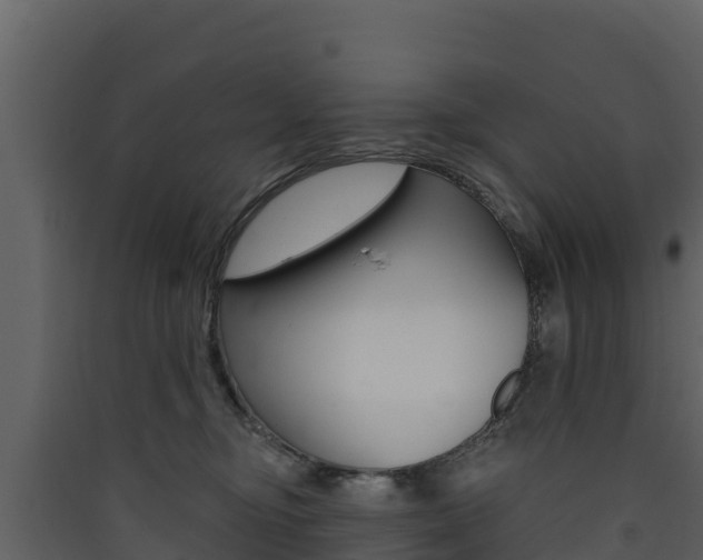X0000090420374200707130952