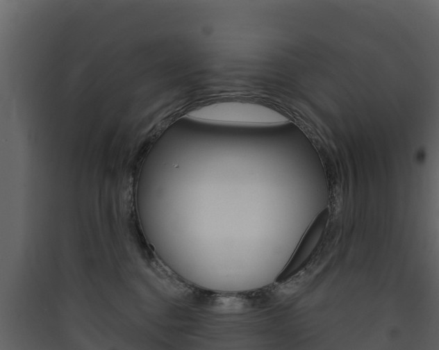 X0000090420376200707130952