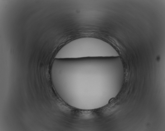 X0000090420377200707130952