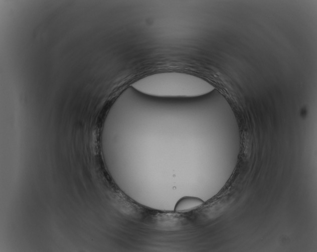 X0000090420378200707130952