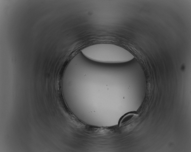 X0000090420379200707130952