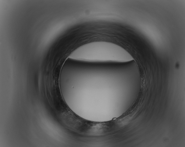 X0000090420382200707130952