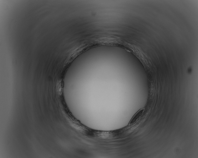 X0000090420383200707130952
