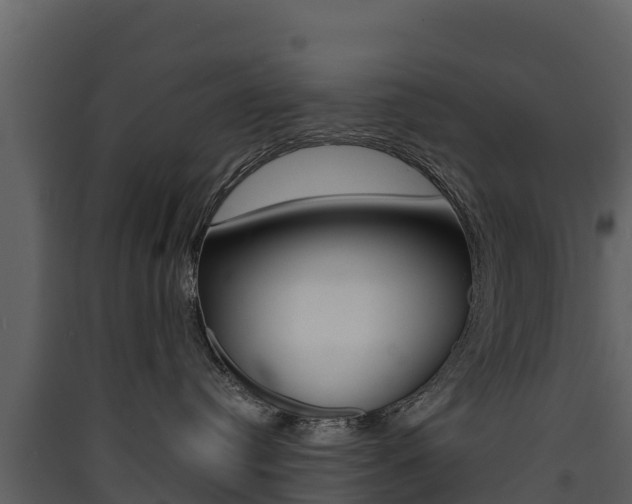 X0000090420384200707130952
