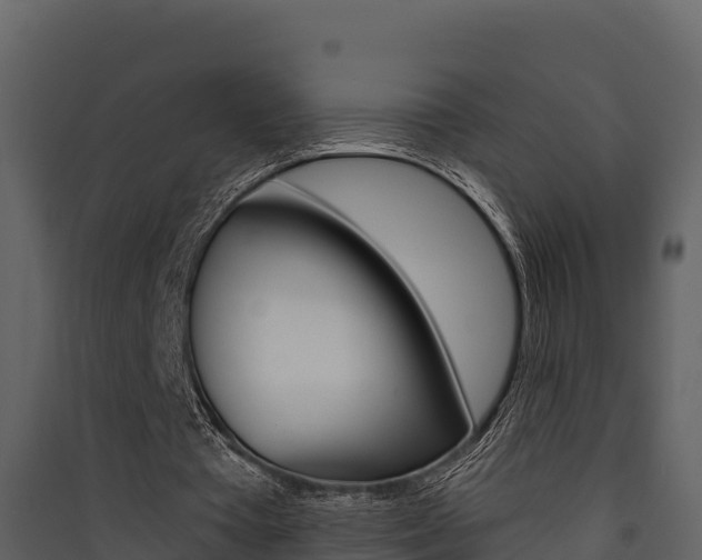 X0000090420385200707130951