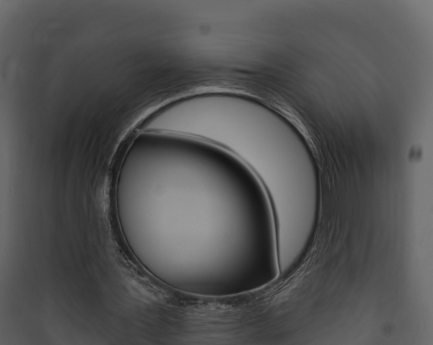 X0000090420387200707130951