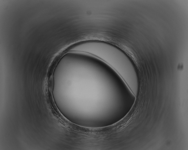 X0000090420388200707130951