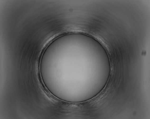 X0000090420390200707130951