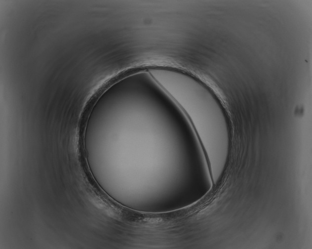 X0000090420391200707130951
