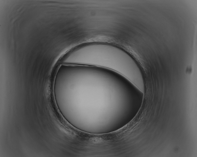 X0000090420392200707130951