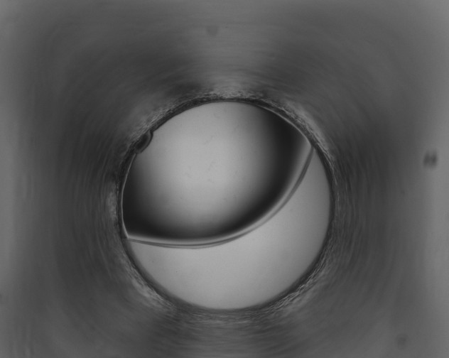 X0000090420393200707130951