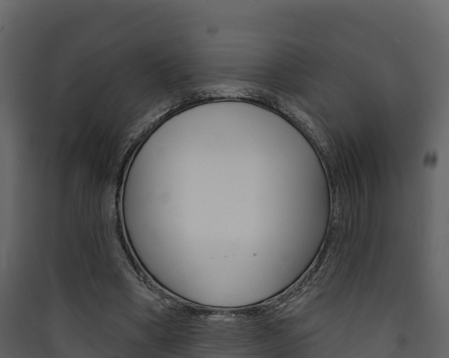 X0000090420394200707130951