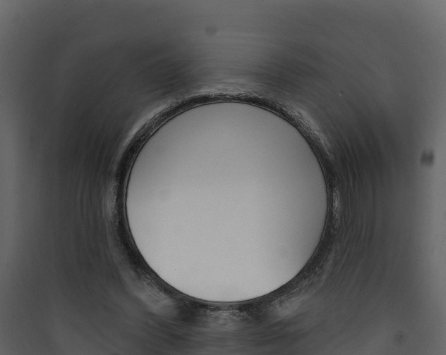 X0000090420396200707130951
