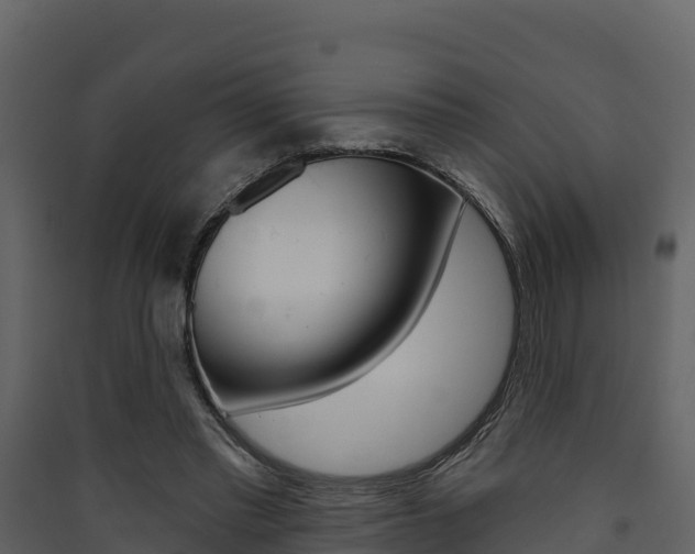 X0000090420397200707130951