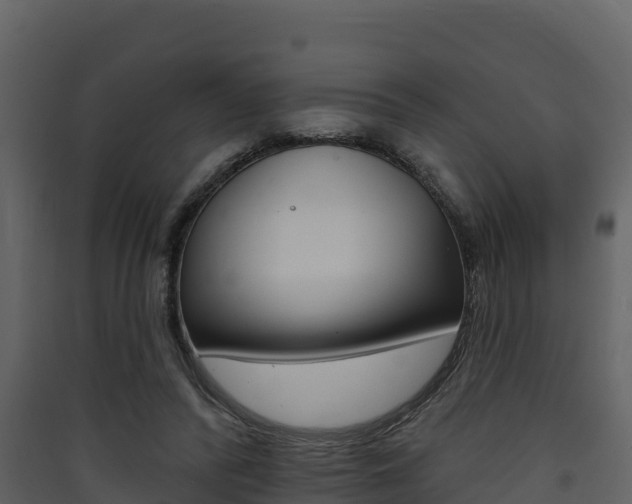 X0000090420400200707130951