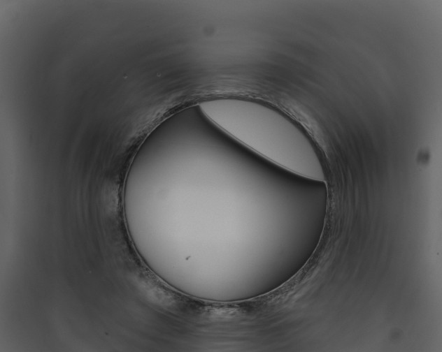 X0000090420401200707130951