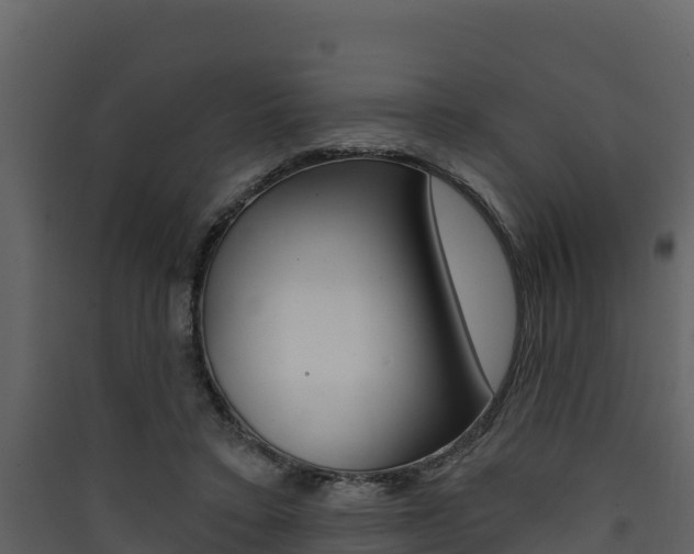 X0000090420403200707130951