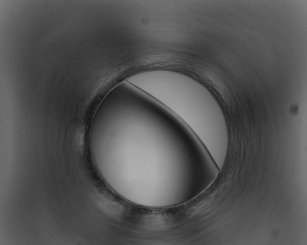 X0000090420404200707130951