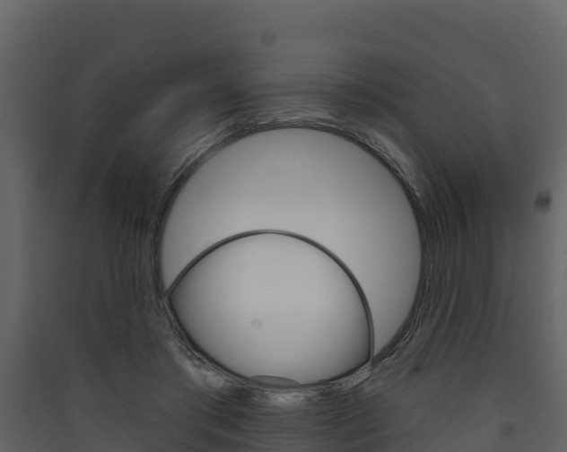 X0000090420405200707130951