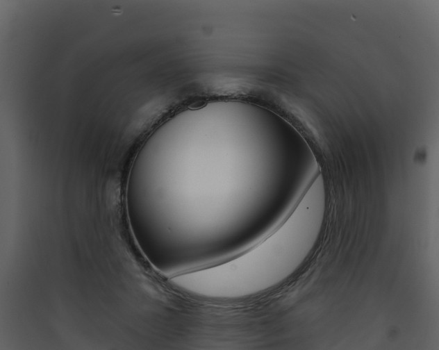 X0000090420407200707130951