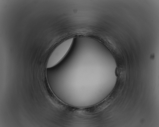 X0000090420408200707130951
