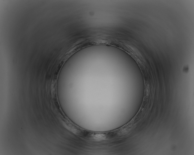 X0000090420409200707130951
