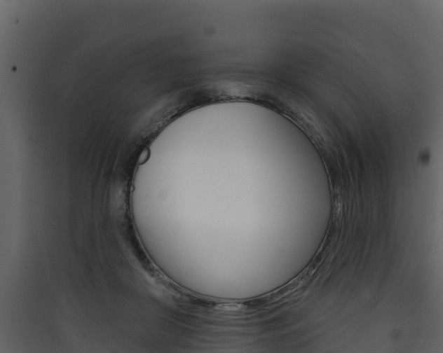 X0000090420410200707130951