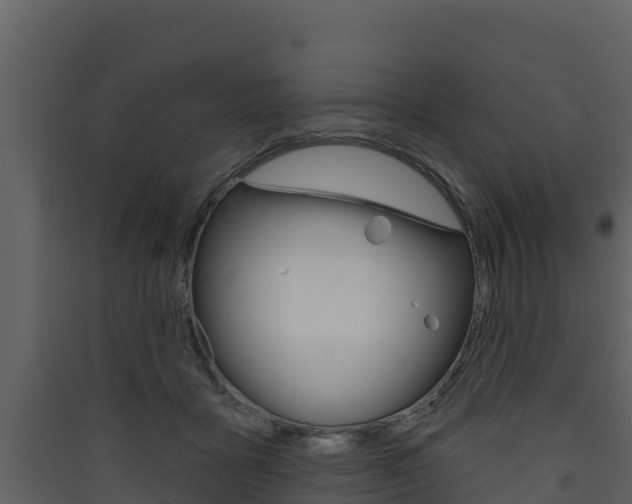 X0000090420411200707130951