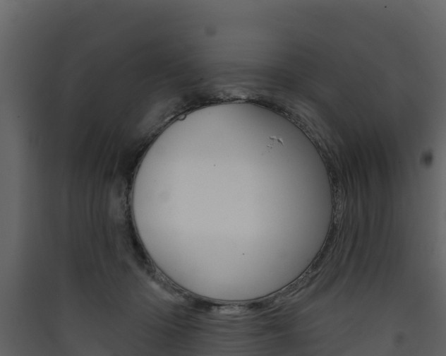 X0000090420414200707130951