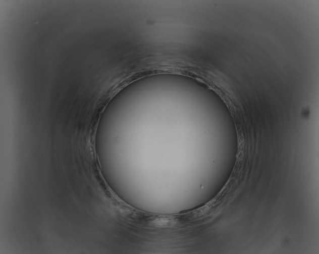 X0000090420415200707130951