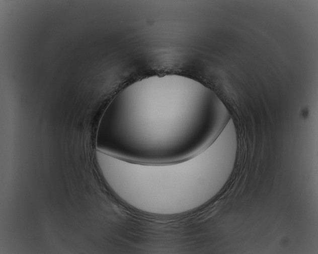 X0000090420416200707130951
