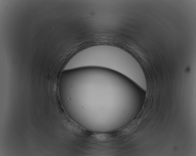 X0000090420417200707130951