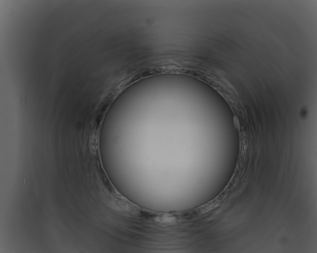 X0000090420419200707130951