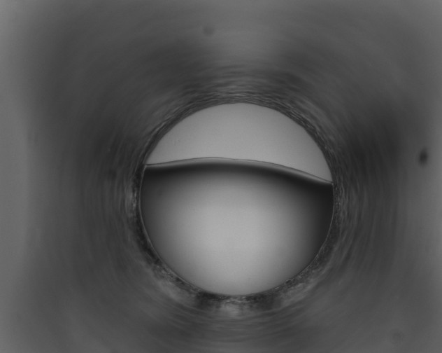 X0000090420420200707130951
