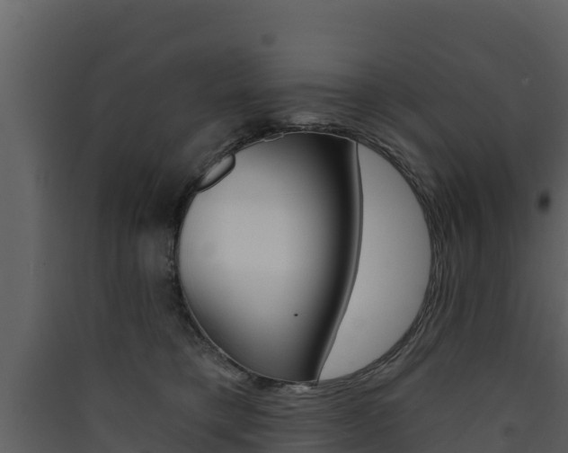 X0000090420421200707130951