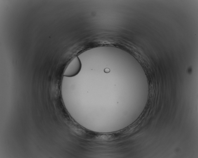 X0000090420422200707130951