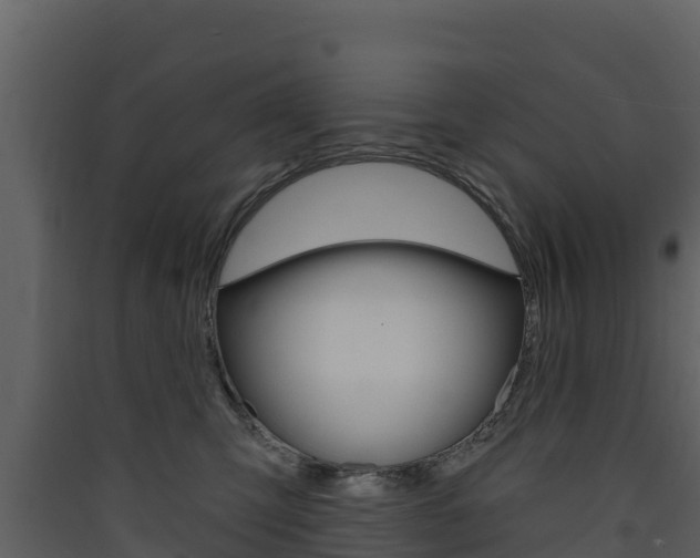 X0000090420423200707130951