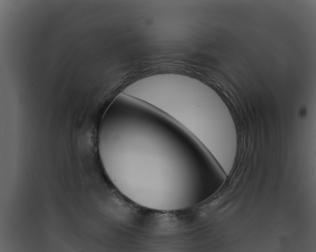 X0000090420424200707130951
