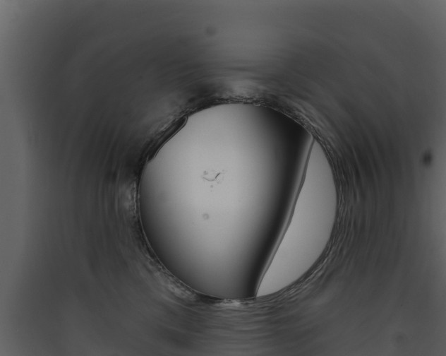 X0000090420425200707130951