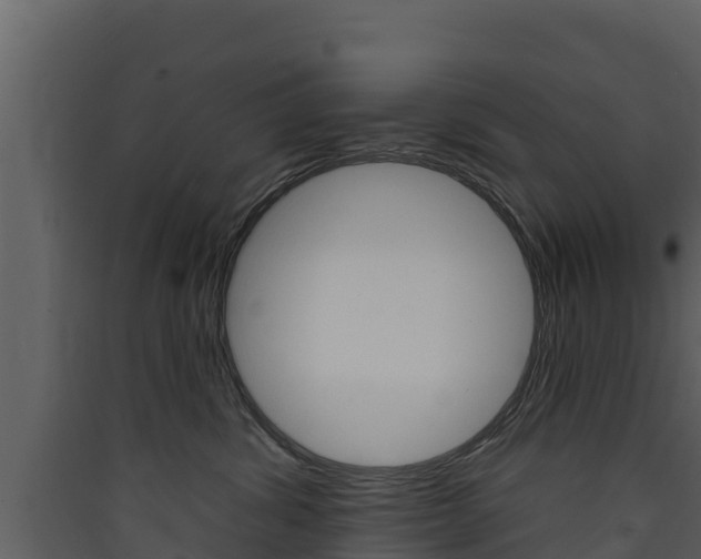 X0000090420428200707130950